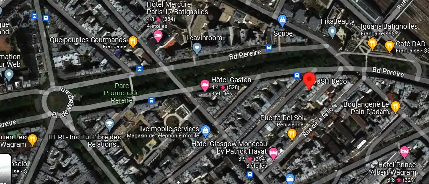 Livraison fleurs à Paris