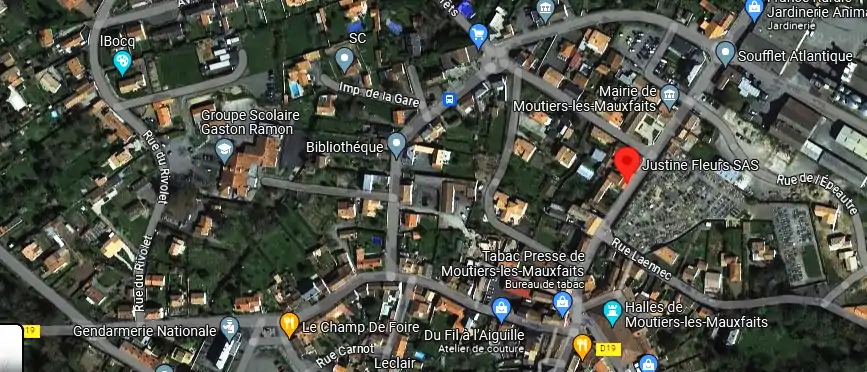 Livraison fleurs à Moutiers-les-Mauxfaits
