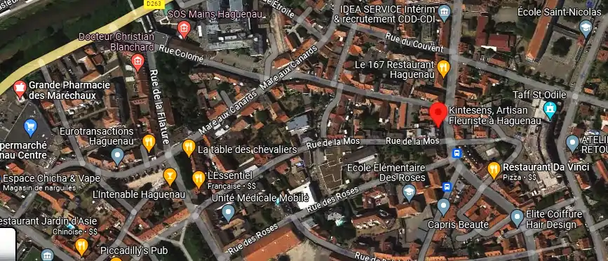 Livraison fleurs à Haguenau