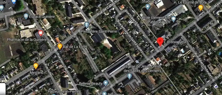 Livraison fleurs à Blois
