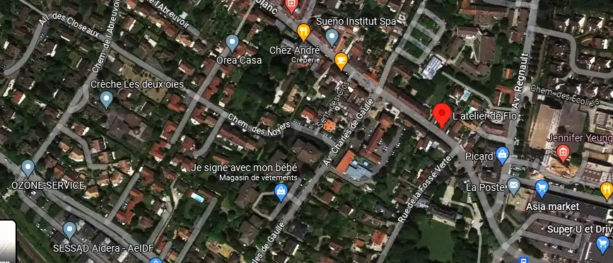 Livraison fleurs à Noisy-le-Roi