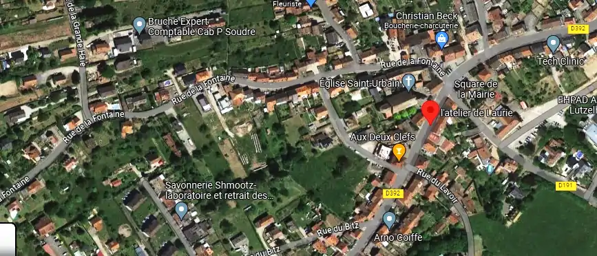 Livraison fleurs à Lutzelhouse
