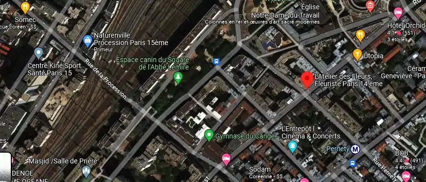 Livraison fleurs à Paris