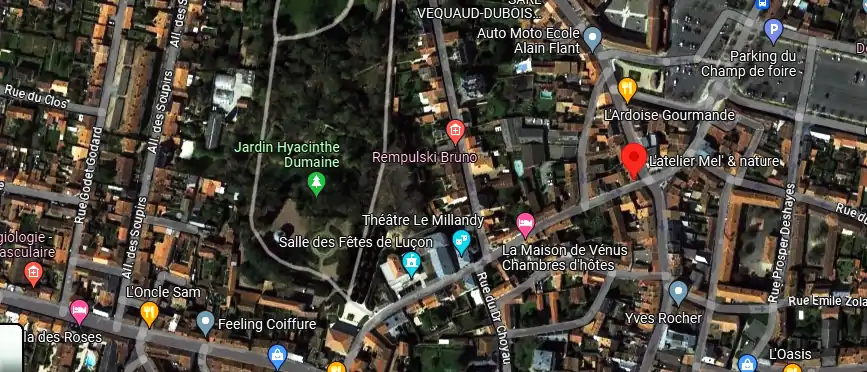 Livraison fleurs à Luçon