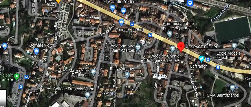Livraison fleurs à Marseille
