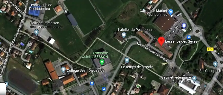 Livraison fleurs à Pechbonnieu