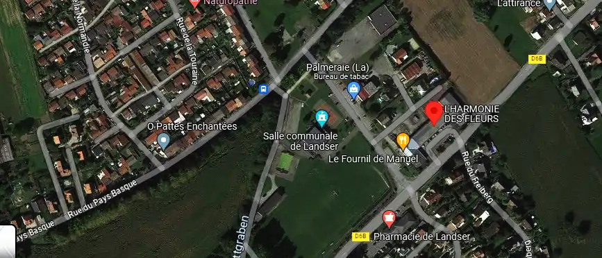 Livraison fleurs à Landser