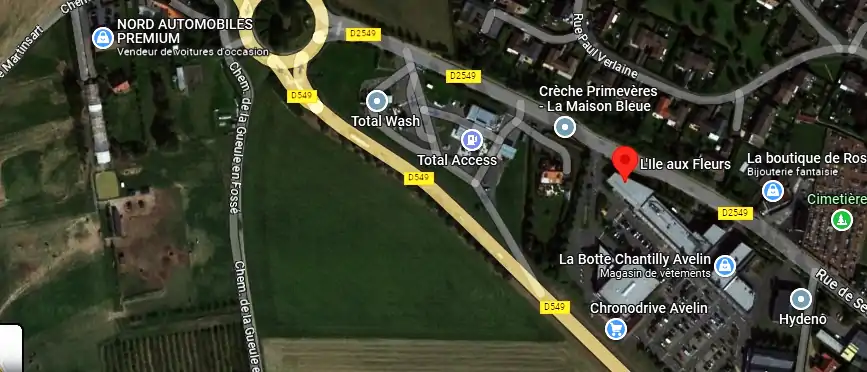 Livraison fleurs à Avelin