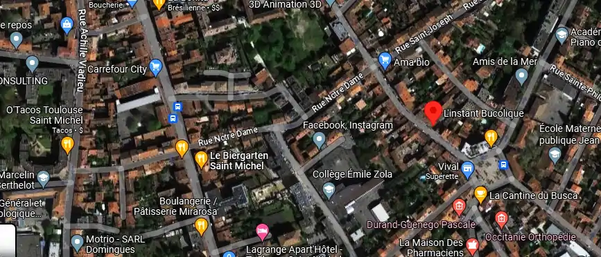 Livraison fleurs à Toulouse