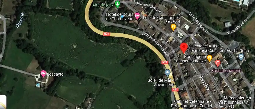 Livraison fleurs à Castillonnès