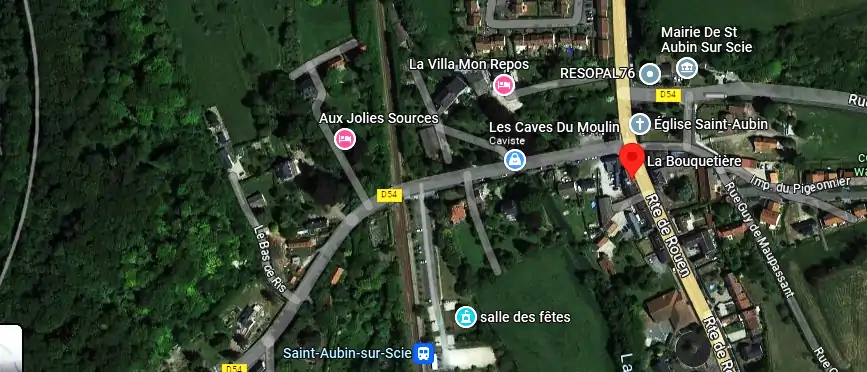 Livraison fleurs à Saint-Aubin-sur-Scie