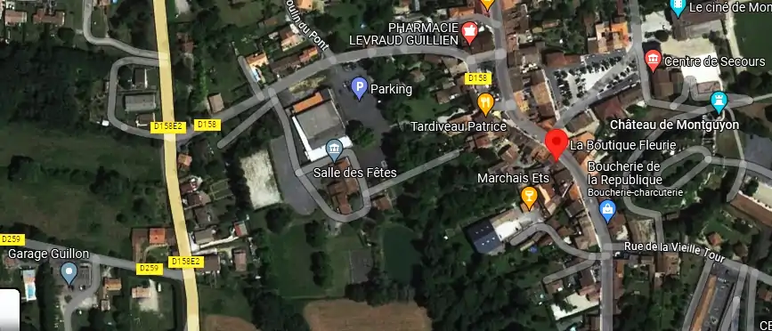 Livraison fleurs à Montguyon