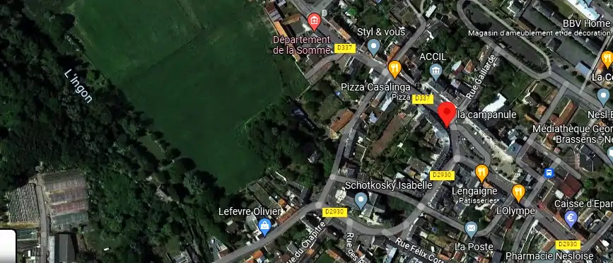 Livraison fleurs à Nesle