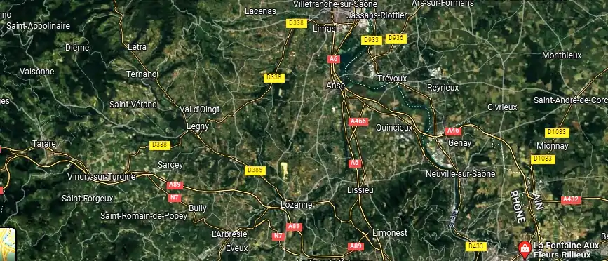 LA FONTAINE AUX FLEURS / ANASTASIA FLEURS à Villefranche-sur-Saône