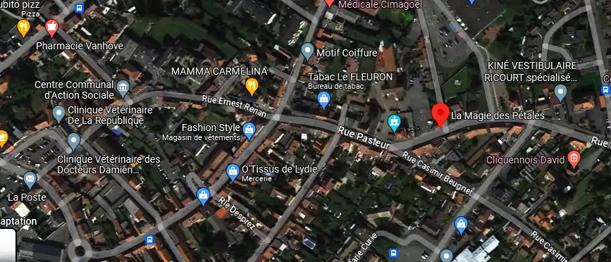 Livraison fleurs à Oignies