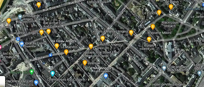 Livraison fleurs à Angers