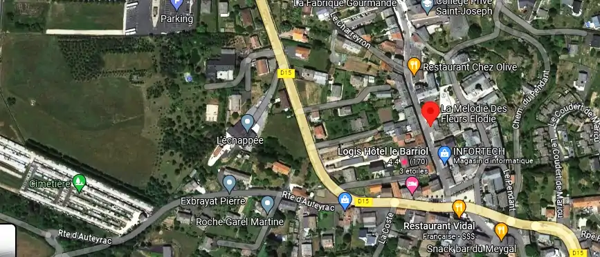 Livraison fleurs à Saint-Julien-Chapteuil