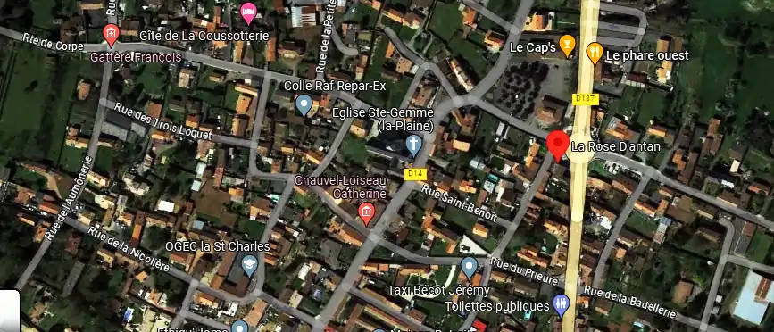 Livraison fleurs à Sainte-Gemme-la-Plaine