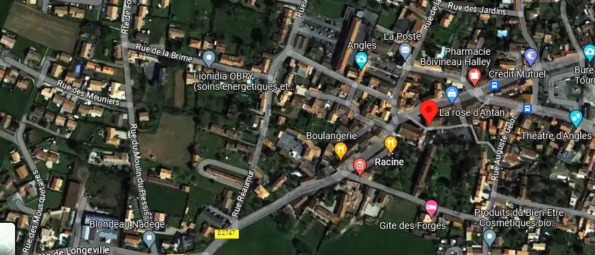 Livraison fleurs à Angles