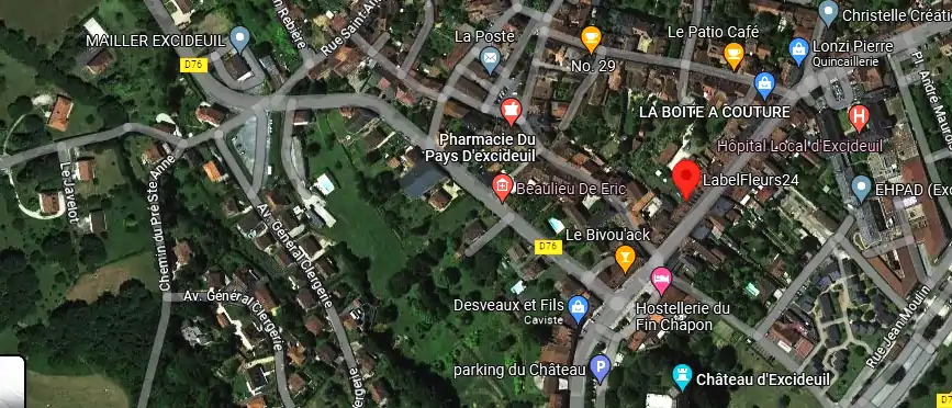 Livraison fleurs à Excideuil