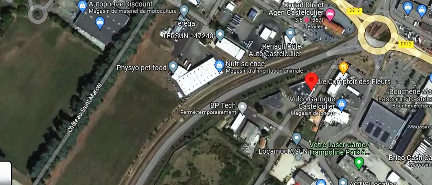 Livraison fleurs à Castelculier