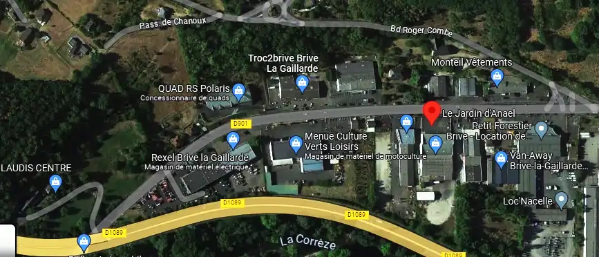 Livraison fleurs à Brive-la-Gaillarde