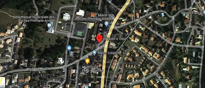 Livraison fleurs à 19 Route de Poitiers 86340, Roches-Prémarie-Andillé