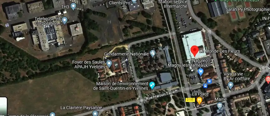 Livraison fleurs à Magny-les-Hameaux