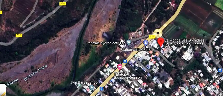 Livraison fleurs à 4 Rue du Pere Maitre, Saint-Pierre 97432, La Réunion