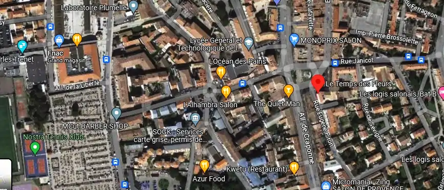 Livraison fleurs à Salon-de-Provence