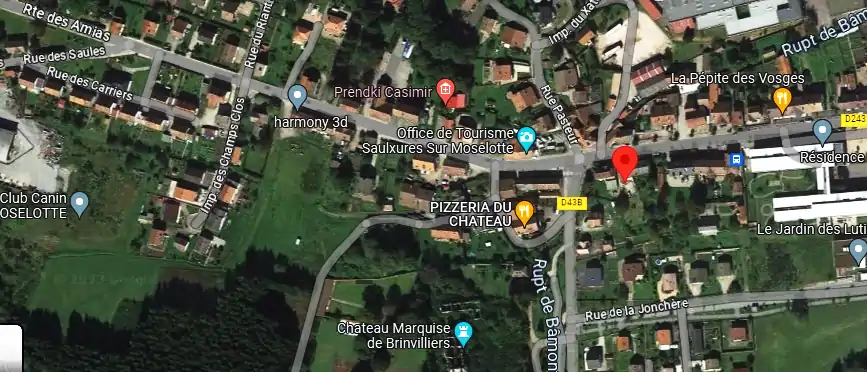 Livraison fleurs à Saulxures-sur-Moselotte