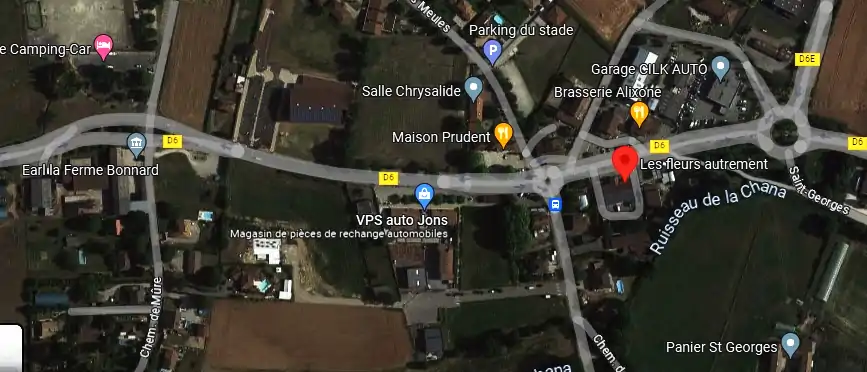 Livraison fleurs à Jons