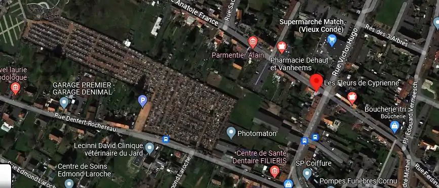 Livraison fleurs à Vieux-Condé