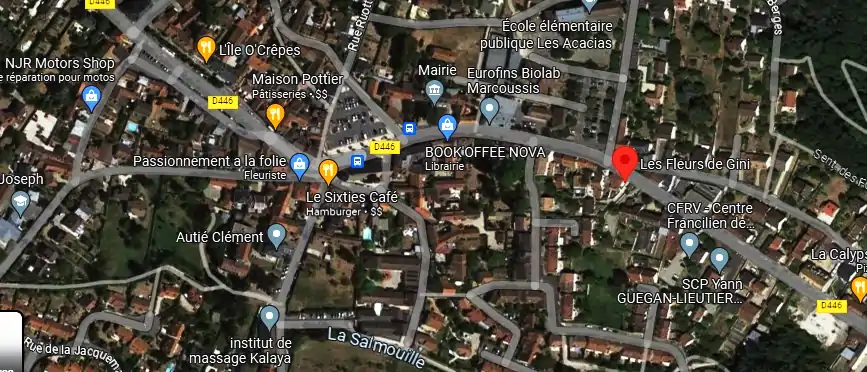 Livraison fleurs à Marcoussis