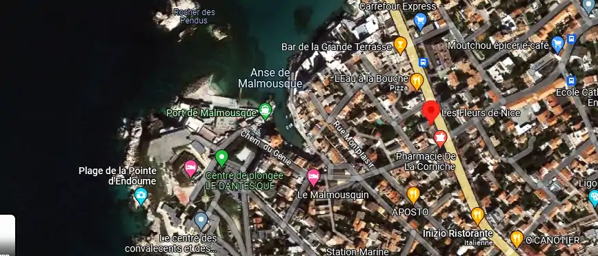 Livraison fleurs à Marseille