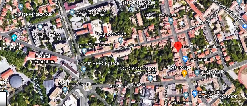 Livraison fleurs à Montpellier