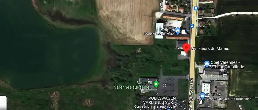 Livraison fleurs à Varennes-sur-Seine