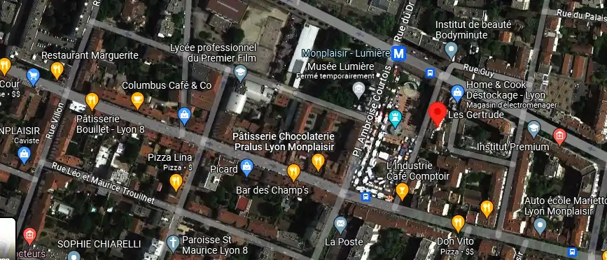 Livraison fleurs à Lyon