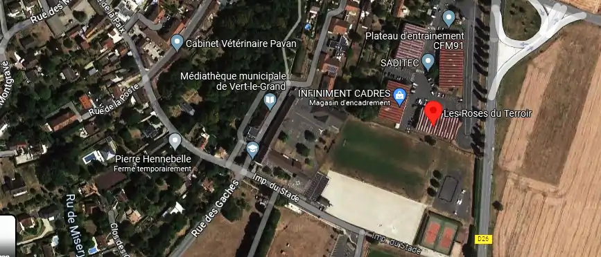 Livraison fleurs à Vert-le-Grand