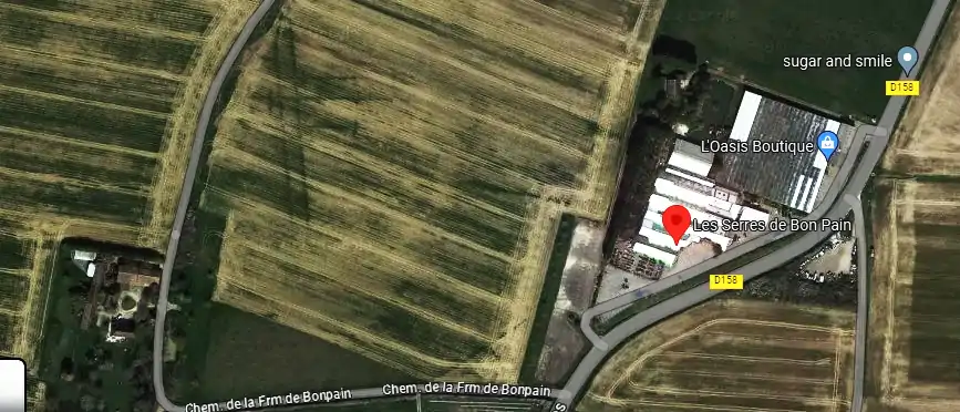 Livraison fleurs à Saint-Georges-sur-Baulche