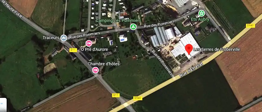 Livraison fleurs à Froberville