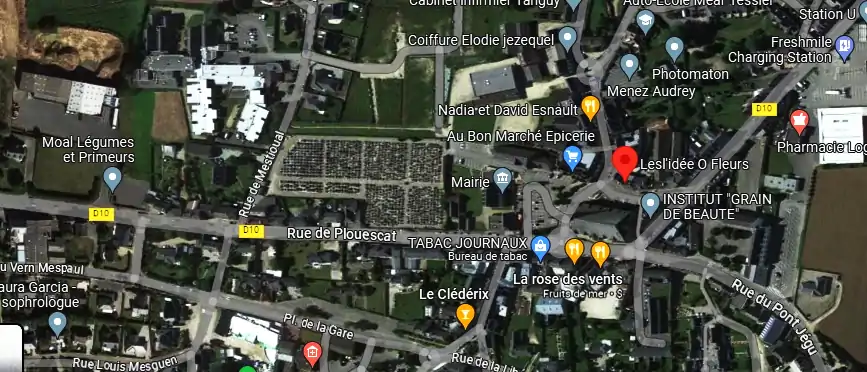 Livraison fleurs à Cléder