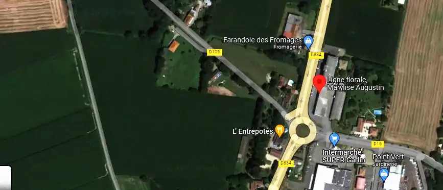 Livraison fleurs à Garlin