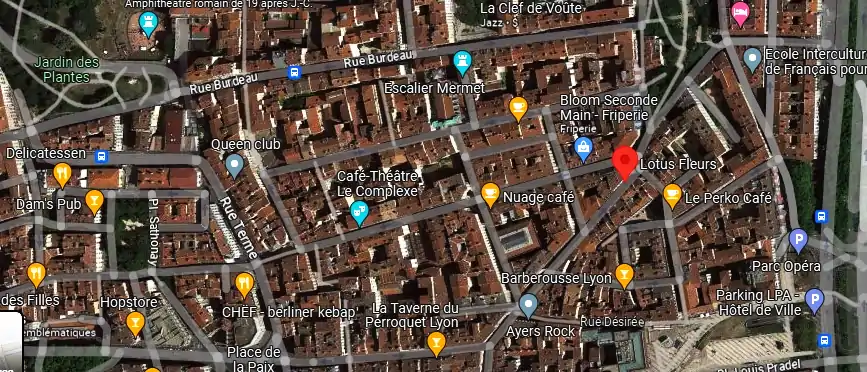 Livraison fleurs à Lyon