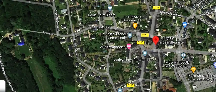 LULLABY artisan fleuriste à Surzur