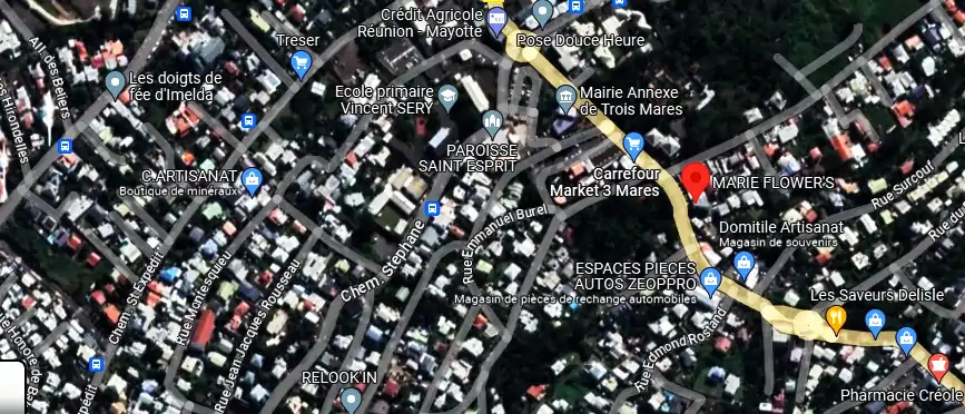 Livraison fleurs à 2 Rue Charles Baudelaire, Le Tampon 97430, La Réunion