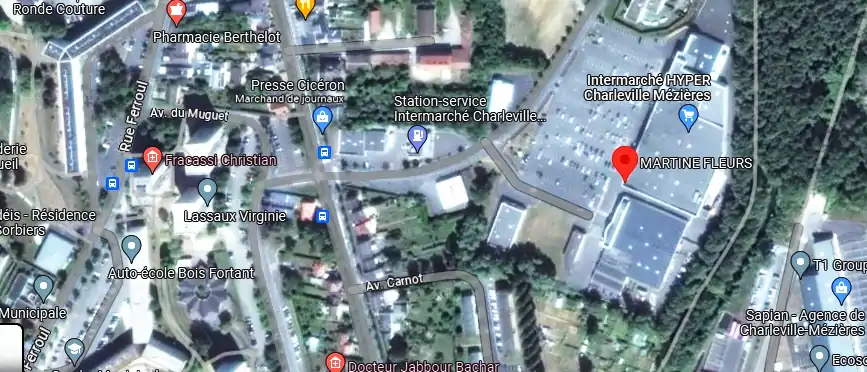 Livraison fleurs à Charleville-Mézières
