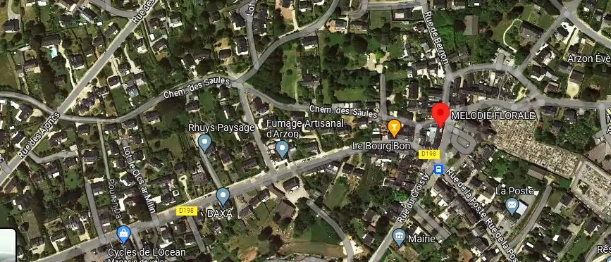 Livraison fleurs à Arzon