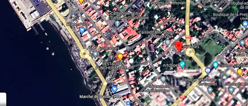 Livraison fleurs à 01 Rue du Champ d'Arbaud, Basse-Terre 97100, Guadeloupe