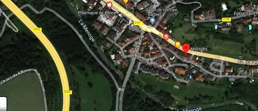 Livraison fleurs à Bonne